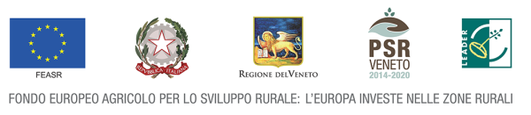 loghi_istituzionali_1